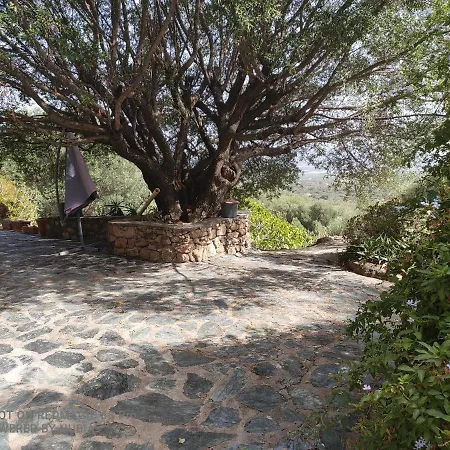 A Casa Di Sognu Vila Figari  Exterior foto