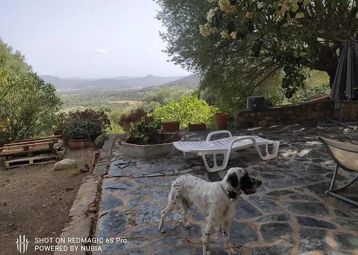 A Casa Di Sognu